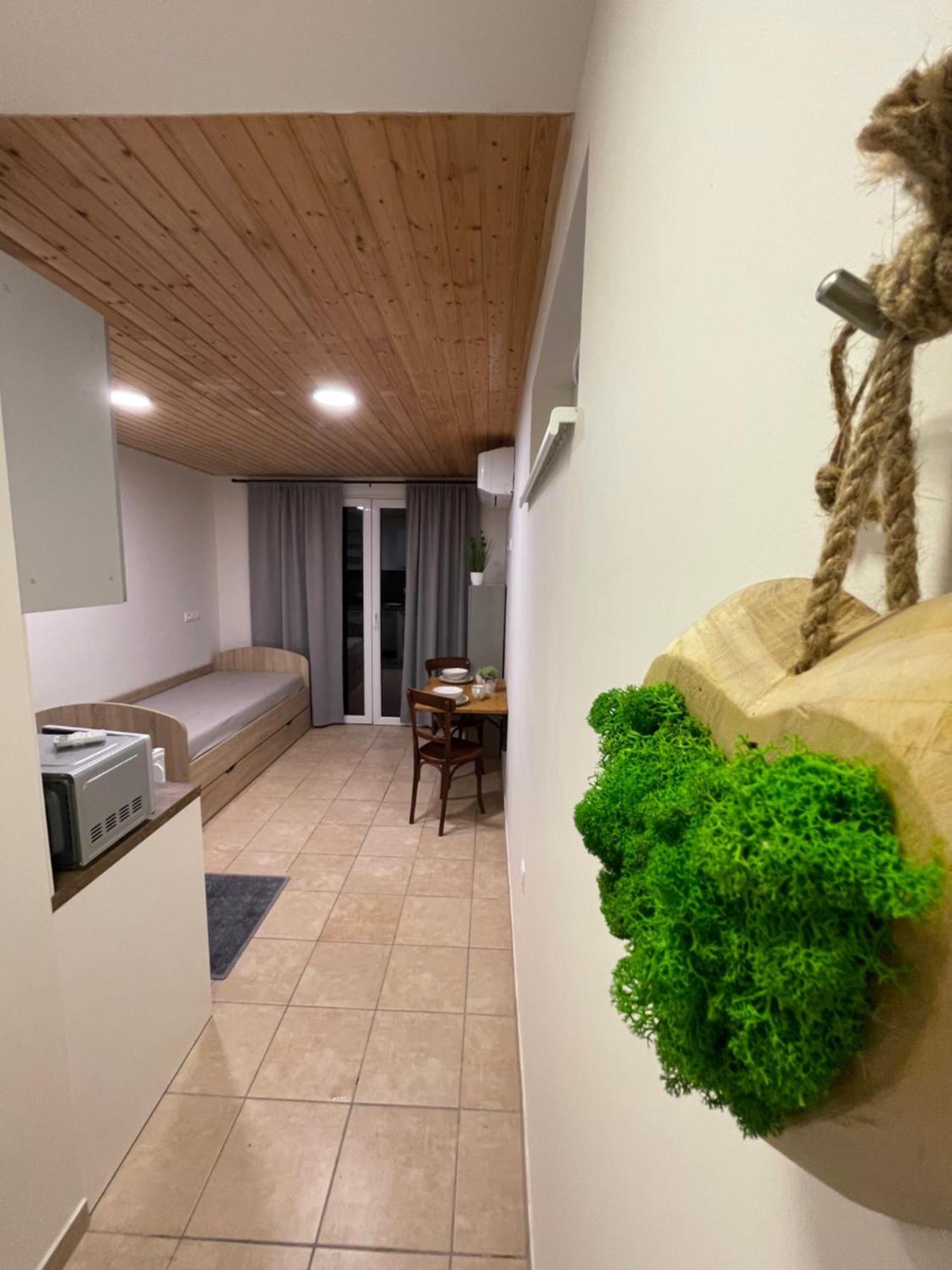 Apartman Mini ストゥパヴァ エクステリア 写真